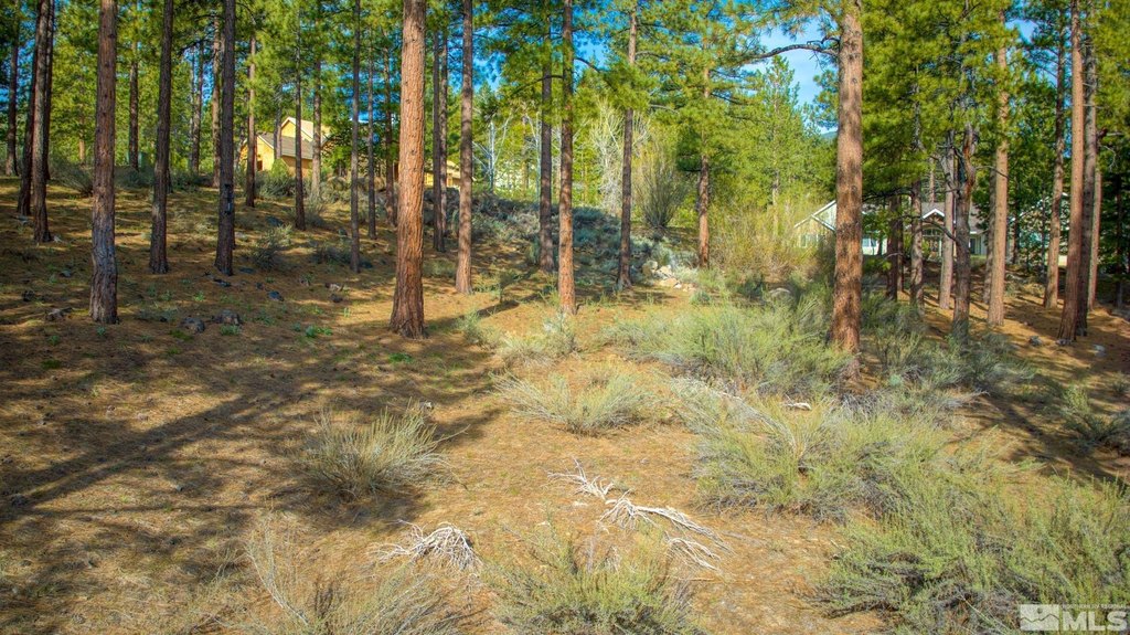 Reno, Nevada, 89511, United States, ,Land,Forsale,1910335
