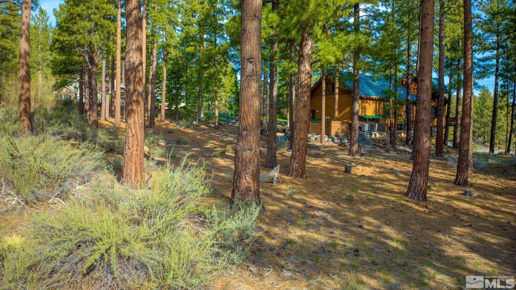 Reno, Nevada, 89511, United States, ,Land,Forsale,1910335