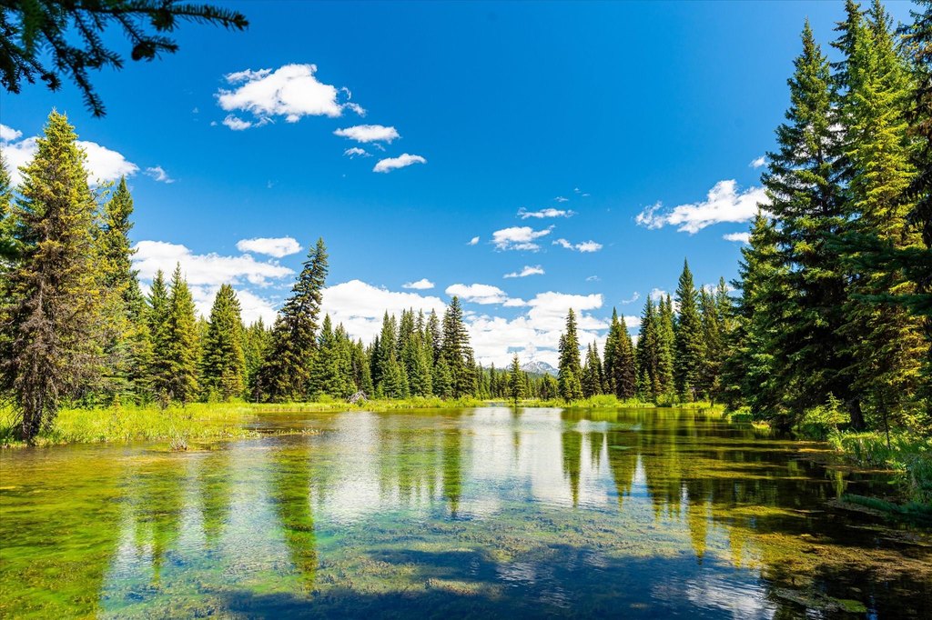Polebridge, Montana, 59928, United States, ,Land,Forsale,1913811