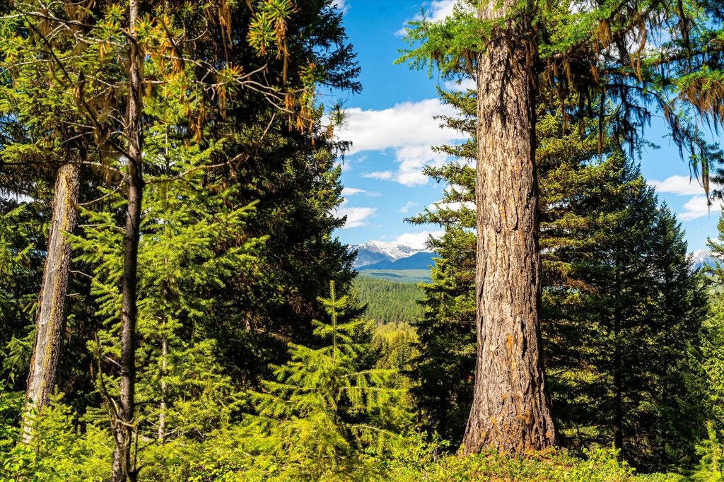 Polebridge, Montana, 59928, United States, ,Land,Forsale,1913811