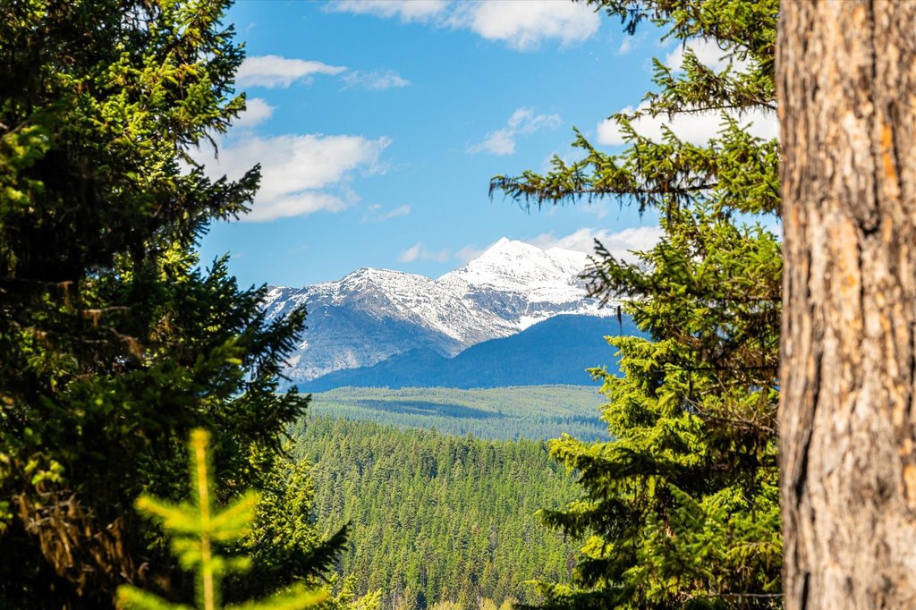 Polebridge, Montana, 59928, United States, ,Land,Forsale,1913811