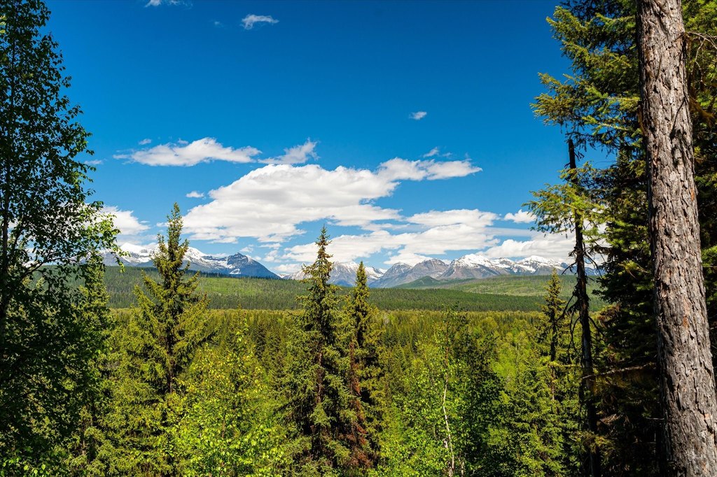 Polebridge, Montana, 59928, United States, ,Land,Forsale,1913811