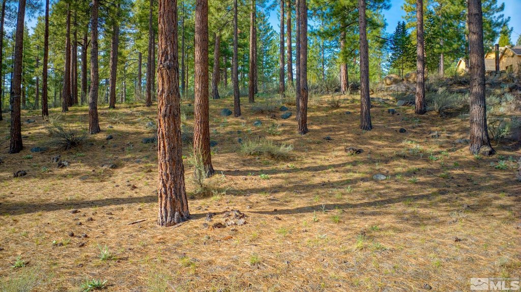 Reno, Nevada, 89511, United States, ,Land,Forsale,1910335