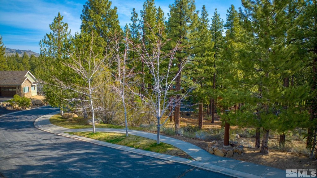 Reno, Nevada, 89511, United States, ,Land,Forsale,1910335