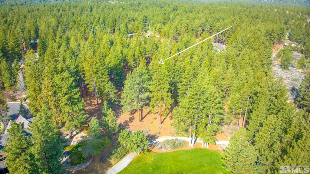 Reno, Nevada, 89511, United States, ,Land,Forsale,1910335