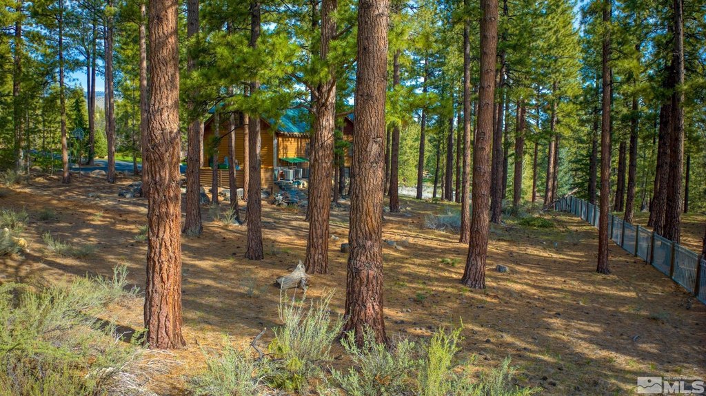 Reno, Nevada, 89511, United States, ,Land,Forsale,1910335