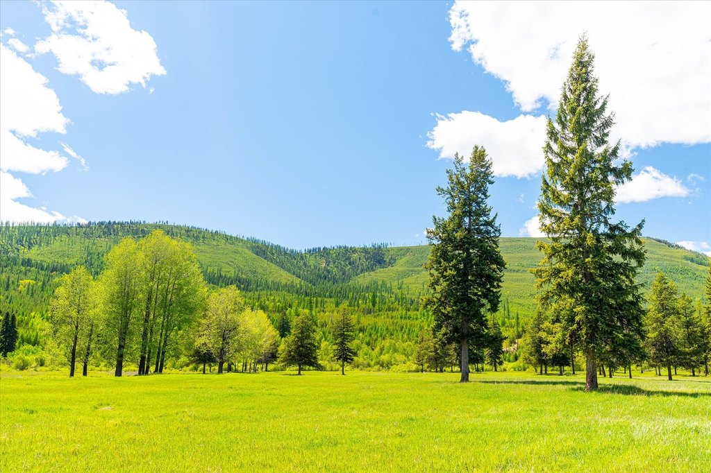 Polebridge, Montana, 59928, United States, ,Land,Forsale,1913811