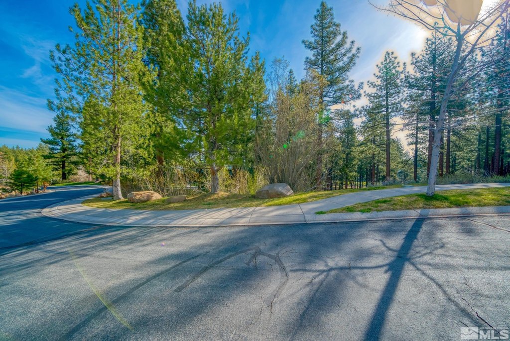 Reno, Nevada, 89511, United States, ,Land,Forsale,1910335