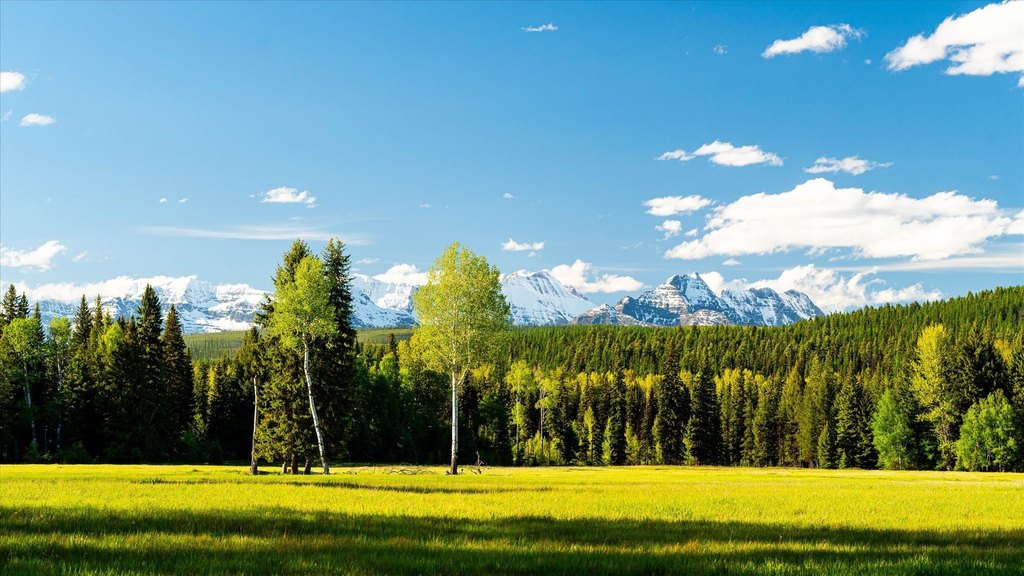 Polebridge, Montana, 59928, United States, ,Land,Forsale,1913811