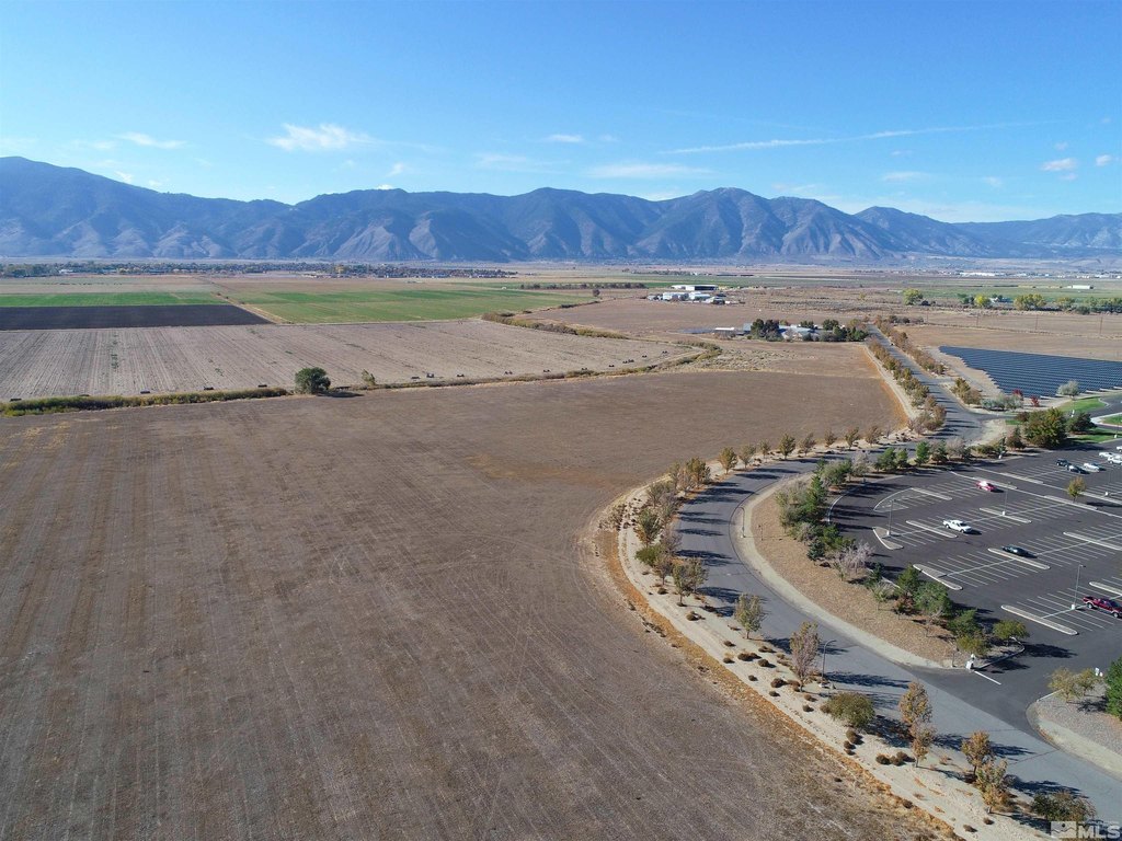 Minden, Nevada, 89423, United States, ,Land,Forsale,1910333