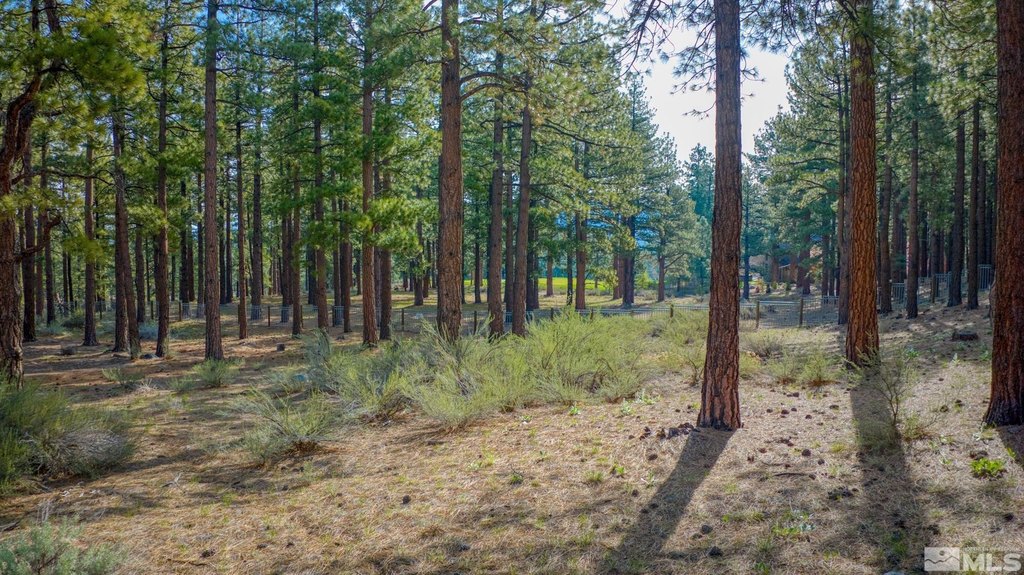 Reno, Nevada, 89511, United States, ,Land,Forsale,1910335