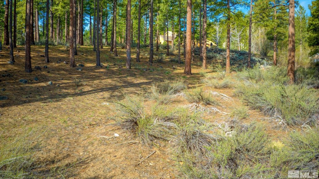 Reno, Nevada, 89511, United States, ,Land,Forsale,1910335