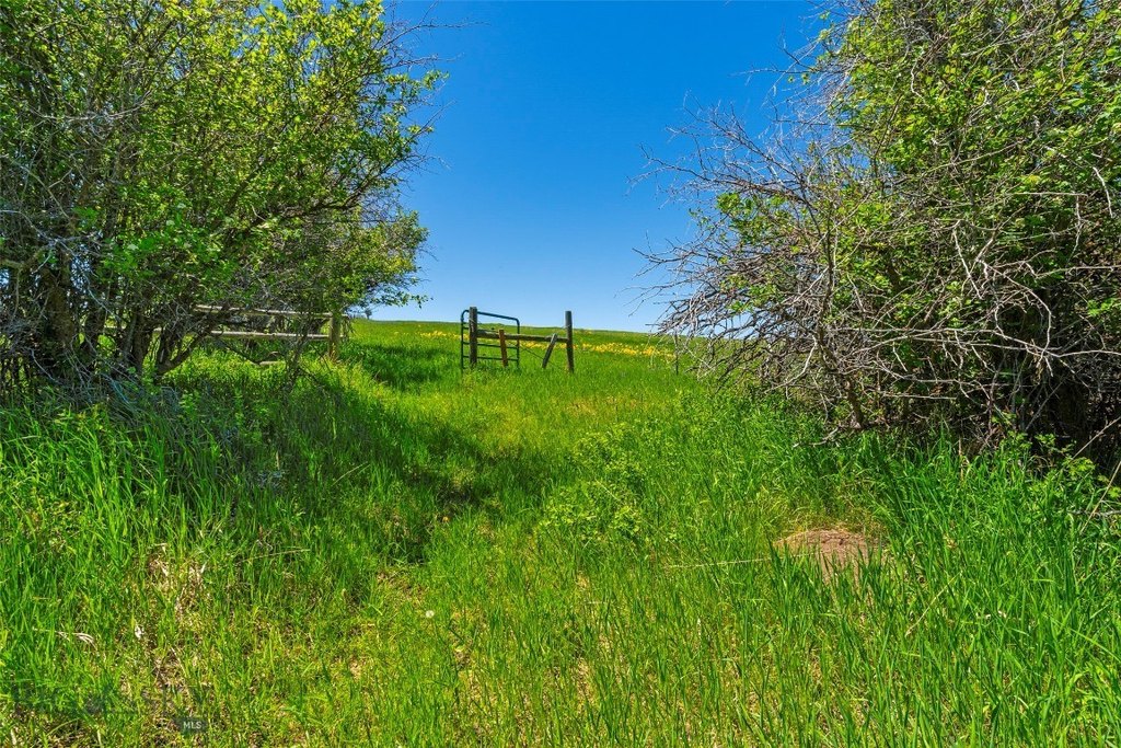 Bozeman, Montana, 59715, United States, ,Land,Forsale,1986978