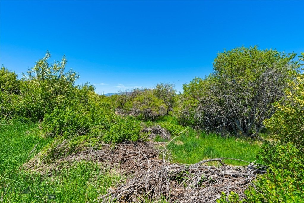Bozeman, Montana, 59715, United States, ,Land,Forsale,1986978