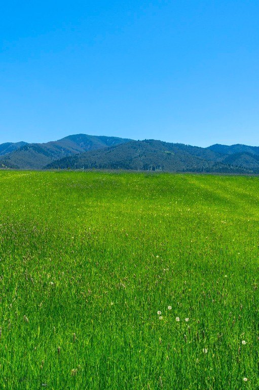 Bozeman, Montana, 59715, United States, ,Land,Forsale,1986978