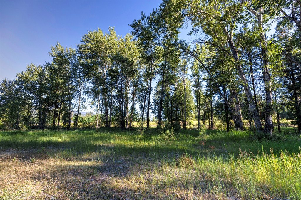 Conner, Montana, 59827, United States, ,Land,Forsale,1941173