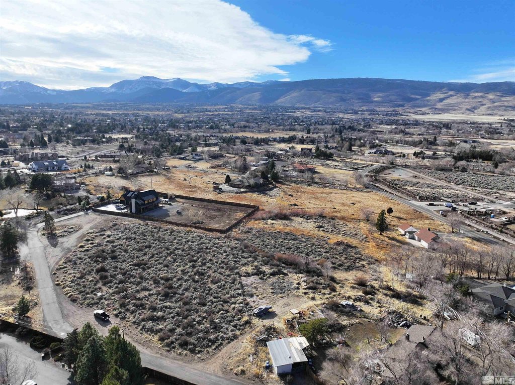 Reno, Nevada, 89511, United States, ,Land,Forsale,1910331