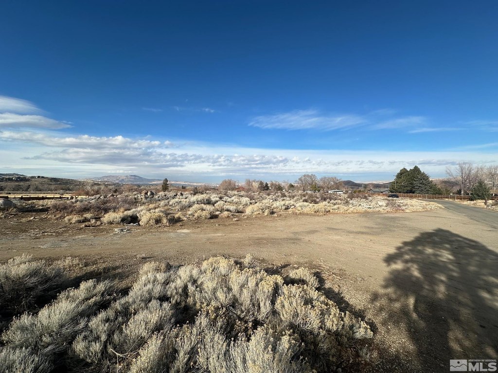 Reno, Nevada, 89511, United States, ,Land,Forsale,1910331