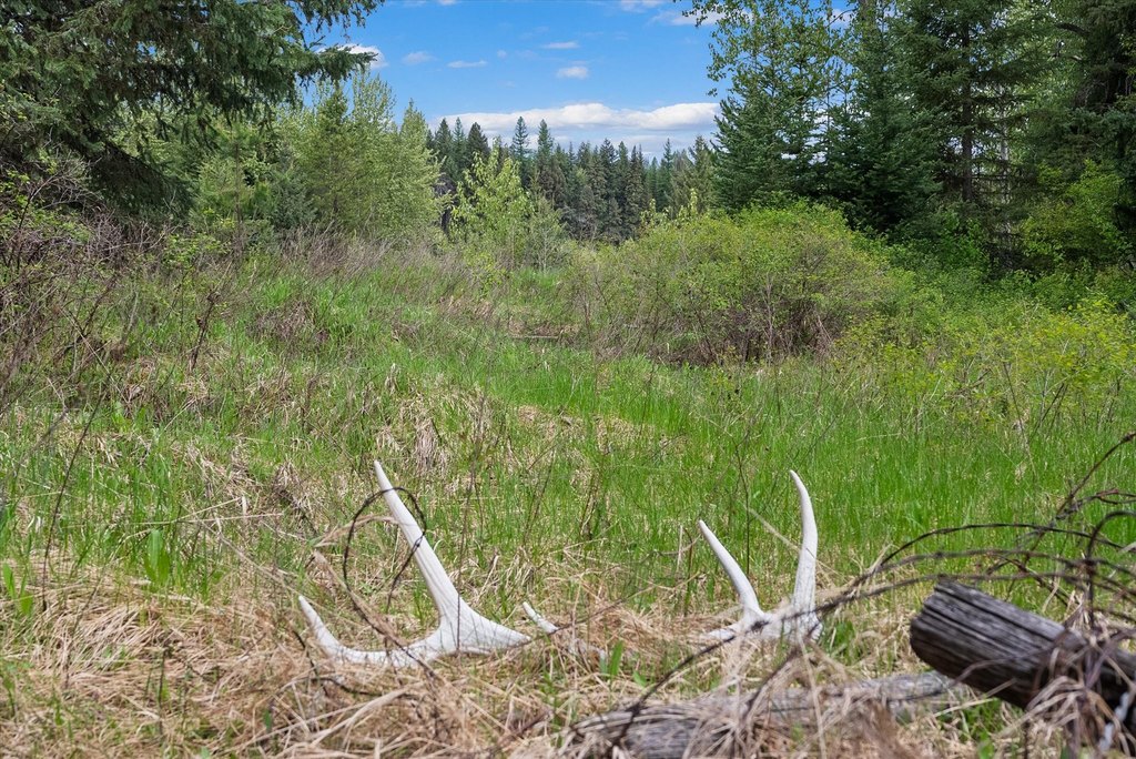 Bigfork, Montana, 59911, United States, ,Land,Forsale,1941209