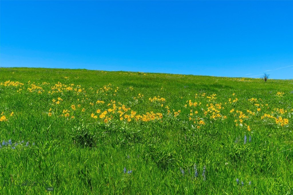 Bozeman, Montana, 59715, United States, ,Land,Forsale,1986978