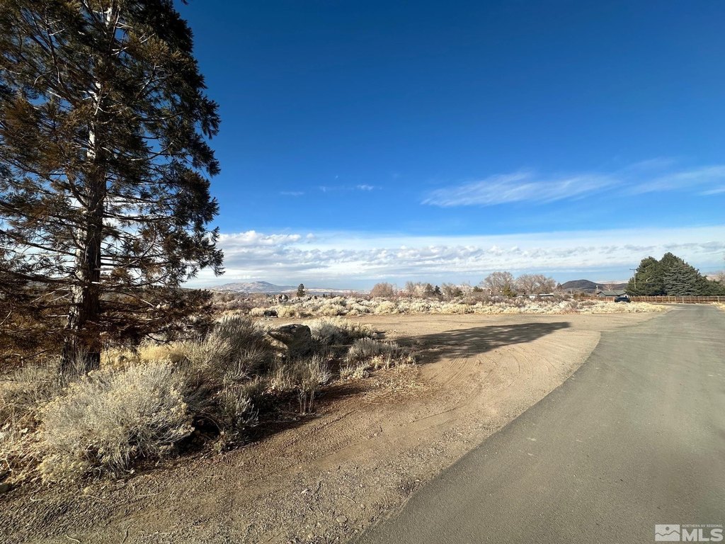 Reno, Nevada, 89511, United States, ,Land,Forsale,1910331
