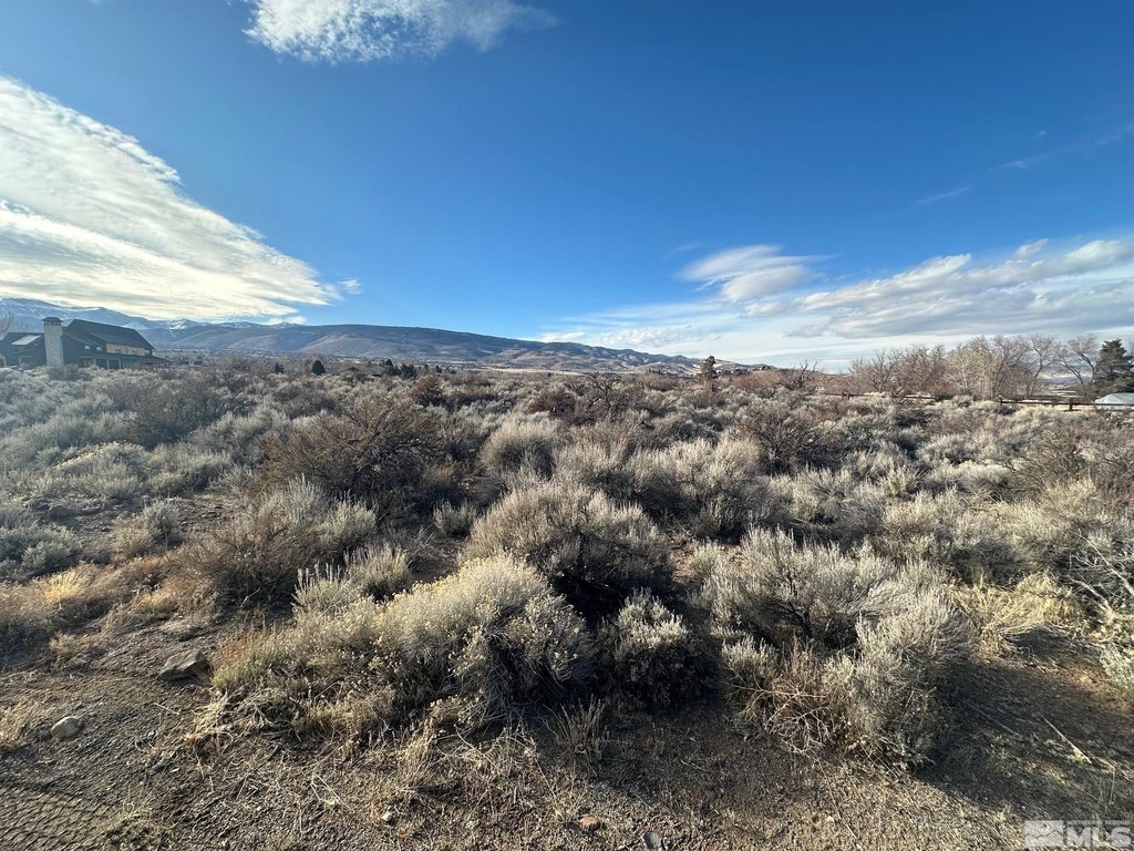 Reno, Nevada, 89511, United States, ,Land,Forsale,1910331