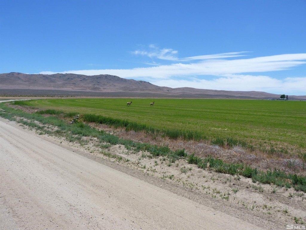 Denio, Nevada, 89404, United States, 3 Bedrooms Bedrooms, ,2 BathroomsBathrooms,Residential,Forsale,1910339