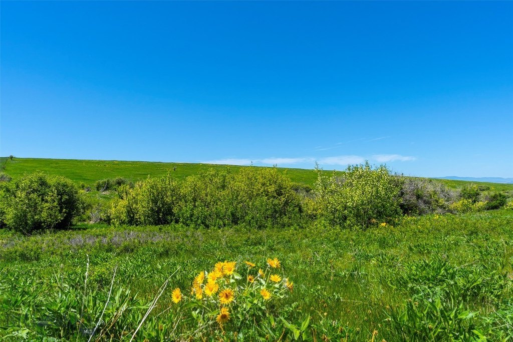 Bozeman, Montana, 59715, United States, ,Land,Forsale,1986978