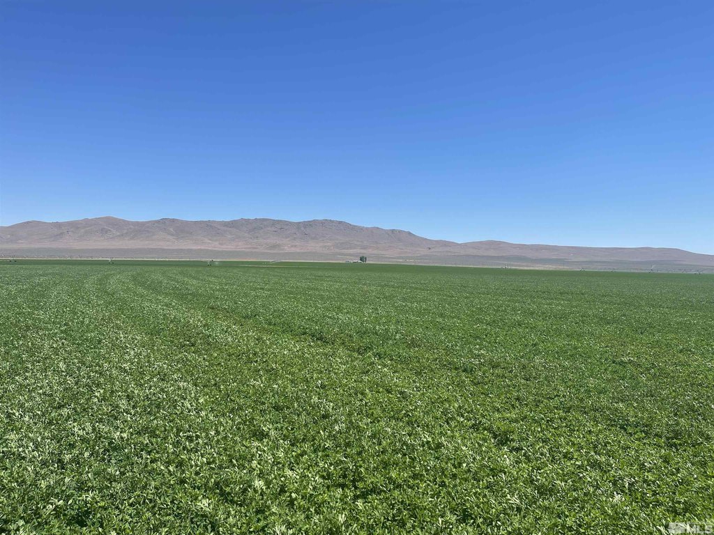Denio, Nevada, 89404, United States, 3 Bedrooms Bedrooms, ,2 BathroomsBathrooms,Residential,Forsale,1910339