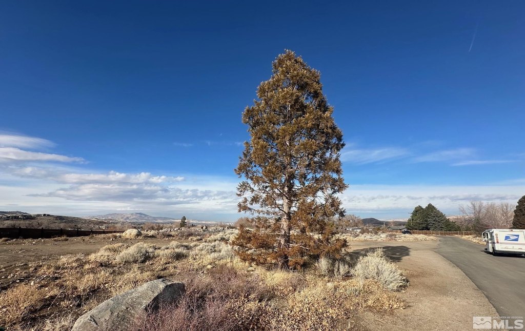 Reno, Nevada, 89511, United States, ,Land,Forsale,1910331