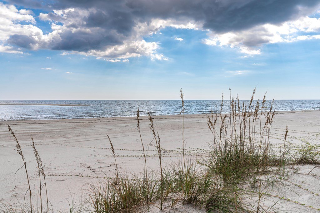 Port St. Joe, Florida, 32456, United States, ,Land,Forsale,1946761