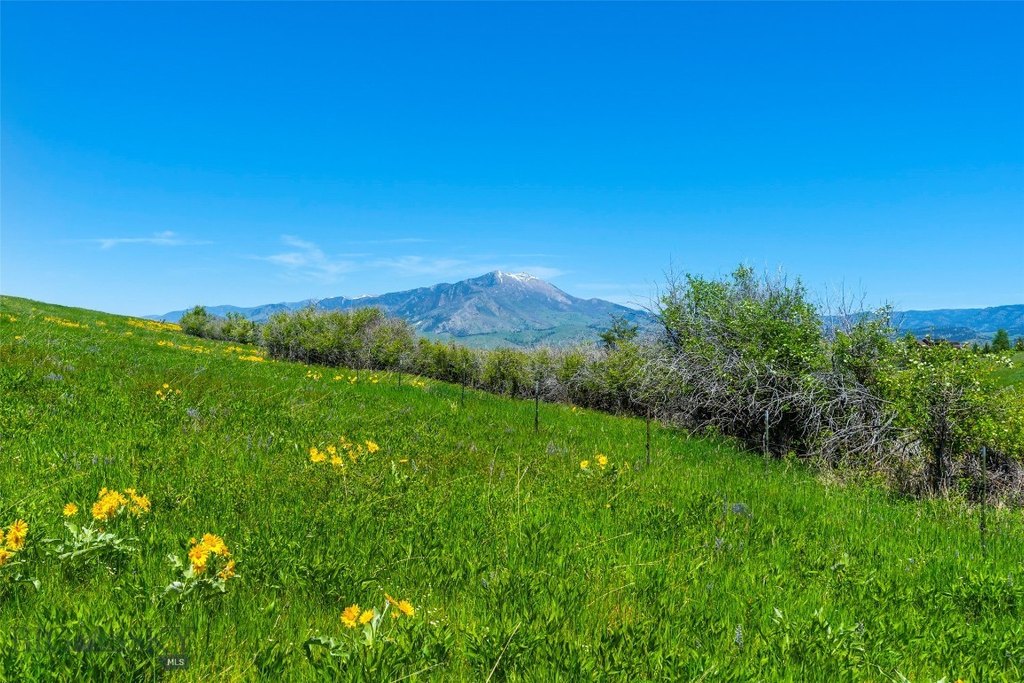 Bozeman, Montana, 59715, United States, ,Land,Forsale,1986978