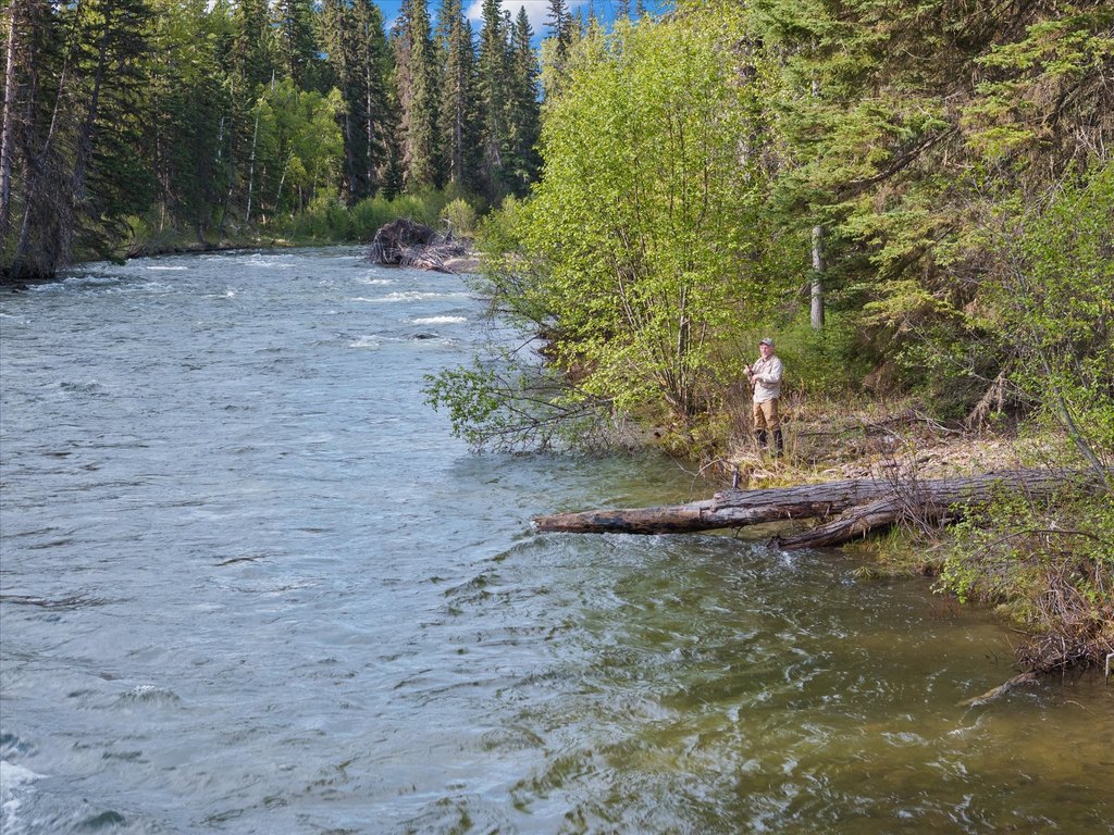 Bigfork, Montana, 59911, United States, ,Land,Forsale,1941209
