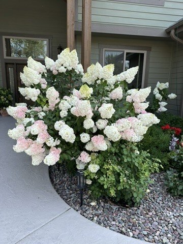 Kalispell, Montana, 59901, United States, 5 Bedrooms Bedrooms, ,3 BathroomsBathrooms,Residential,Forsale,1894905