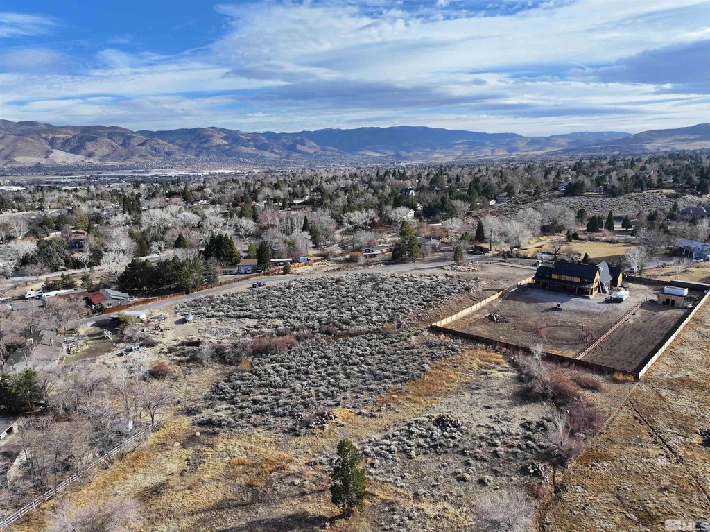 Reno, Nevada, 89511, United States, ,Land,Forsale,1910331