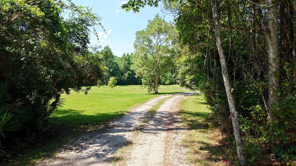 St Augustine, Florida, 32092, United States, 4 Bedrooms Bedrooms, ,2 BathroomsBathrooms,Residential,Forsale,1960035