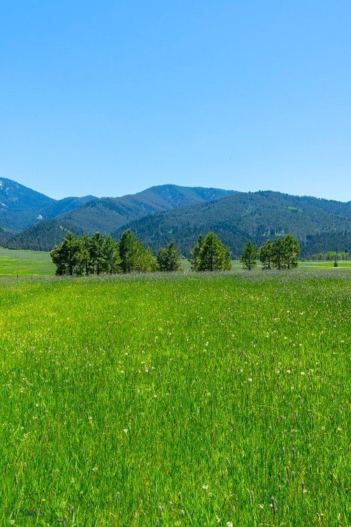 Bozeman, Montana, 59715, United States, ,Land,Forsale,1986978