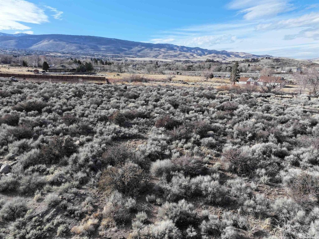 Reno, Nevada, 89511, United States, ,Land,Forsale,1910331