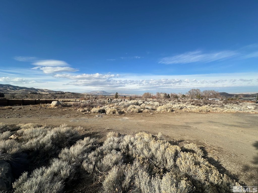 Reno, Nevada, 89511, United States, ,Land,Forsale,1910331