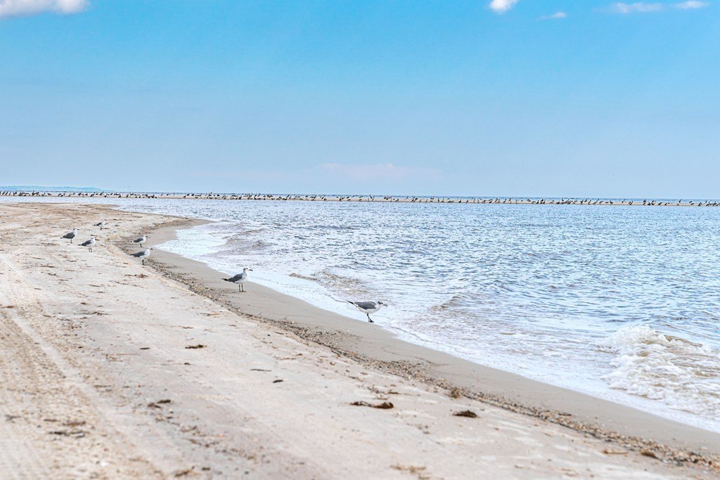 Port St. Joe, Florida, 32456, United States, ,Land,Forsale,1946761