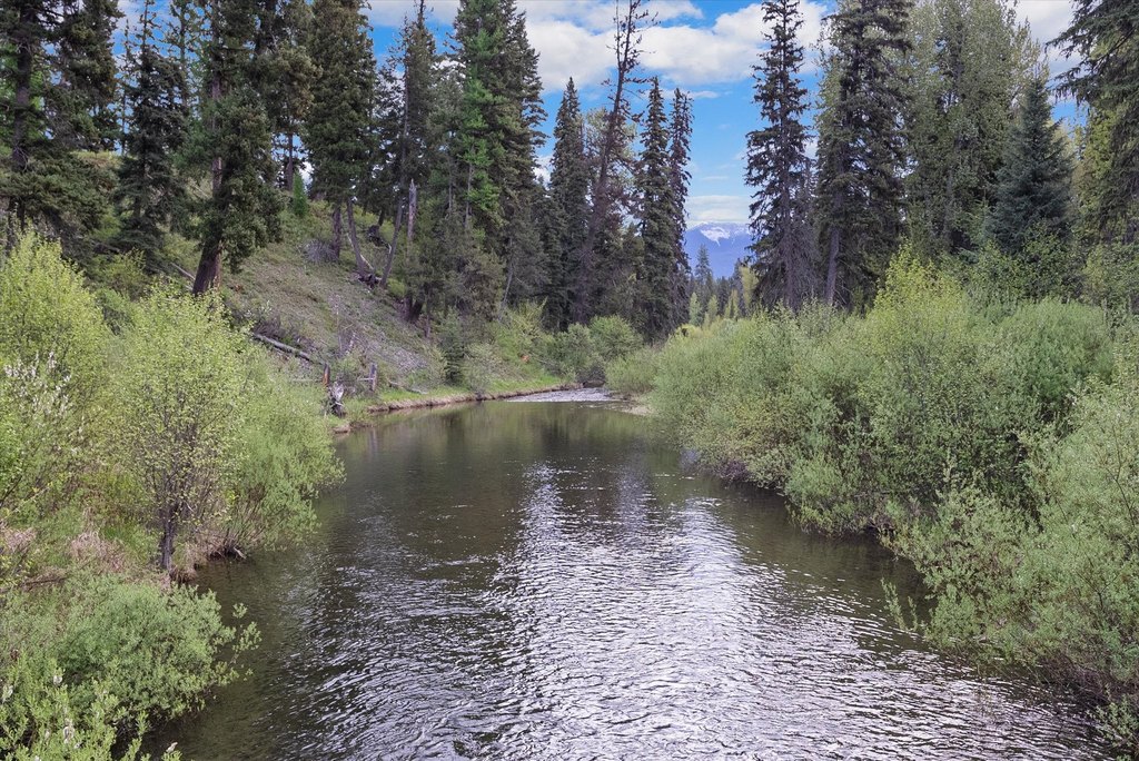 Bigfork, Montana, 59911, United States, ,Land,Forsale,1941209
