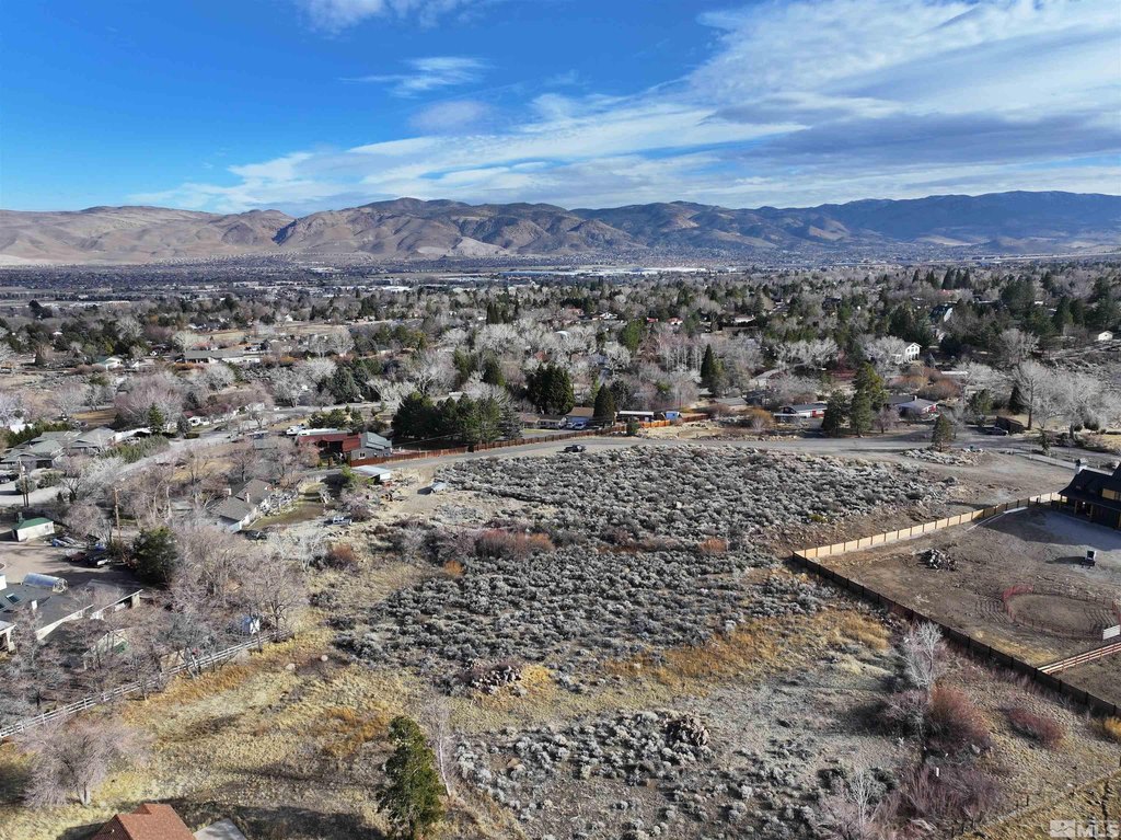Reno, Nevada, 89511, United States, ,Land,Forsale,1910331
