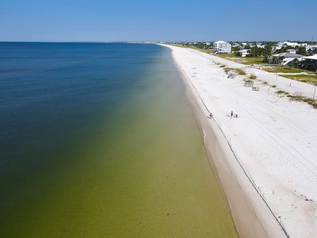 Port St. Joe, Florida, 32456, United States, ,Land,Forsale,1946757