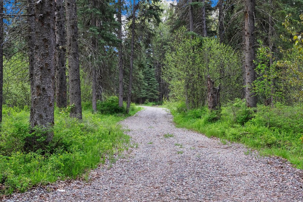 Bigfork, Montana, 59911, United States, ,Land,Forsale,1941209