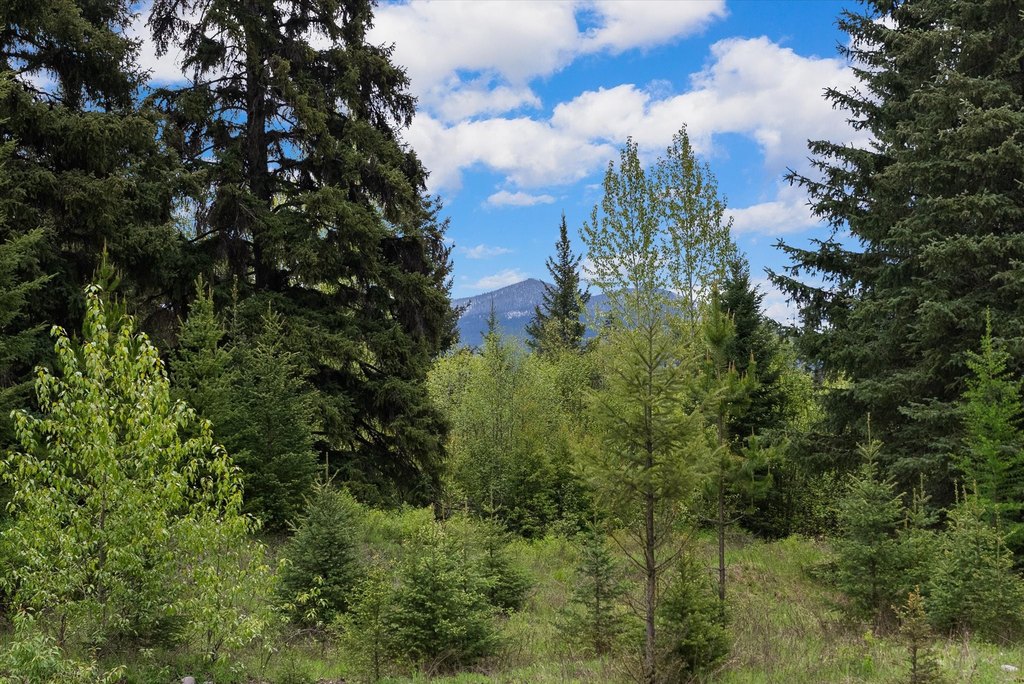 Bigfork, Montana, 59911, United States, ,Land,Forsale,1941209