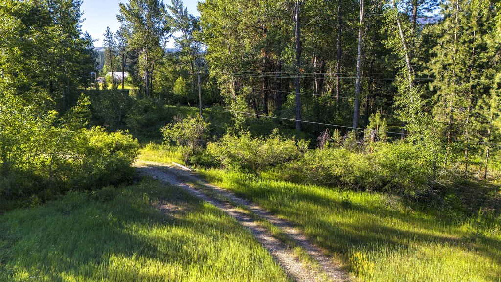 Conner, Montana, 59827, United States, ,Land,Forsale,1941173