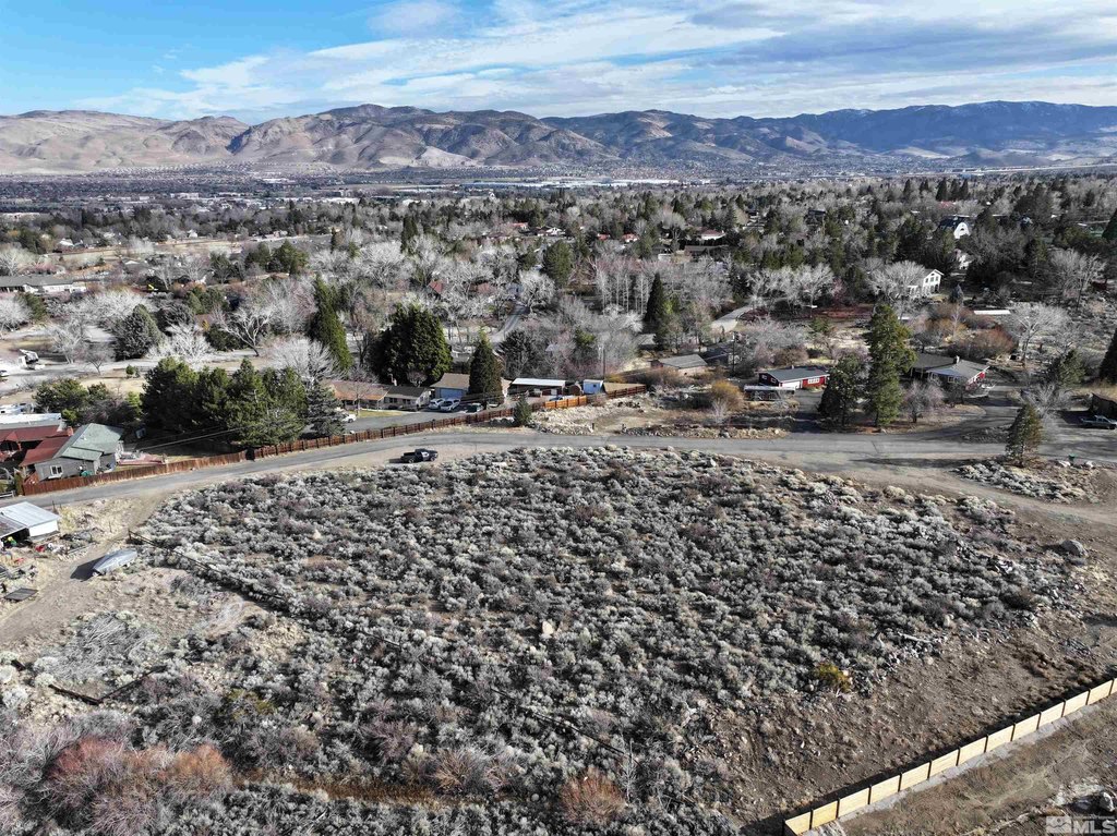 Reno, Nevada, 89511, United States, ,Land,Forsale,1910331