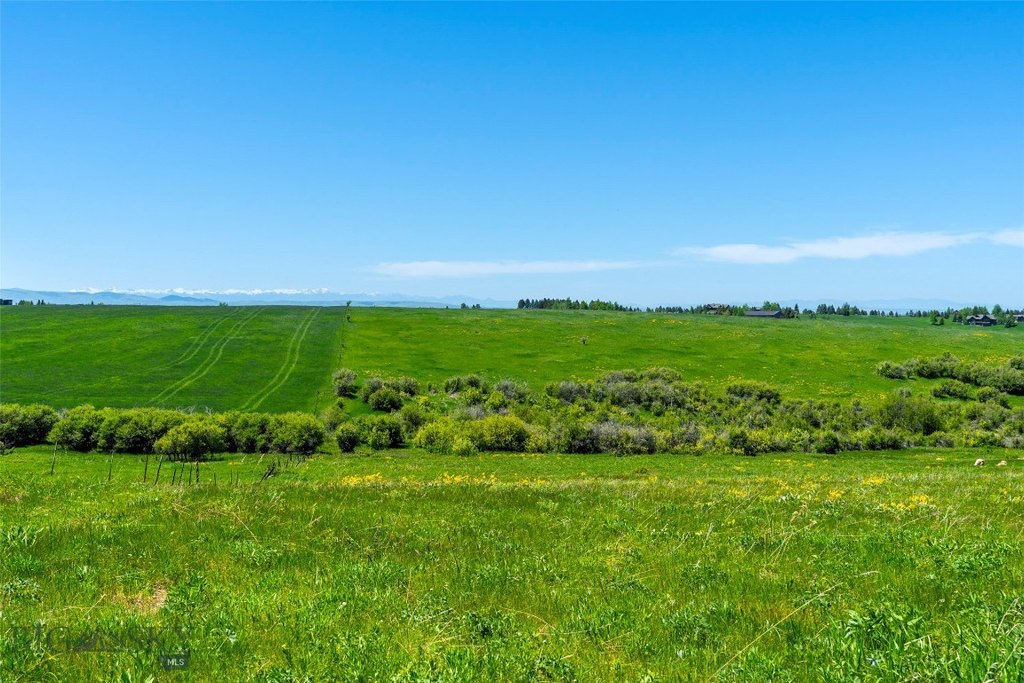 Bozeman, Montana, 59715, United States, ,Land,Forsale,1986978