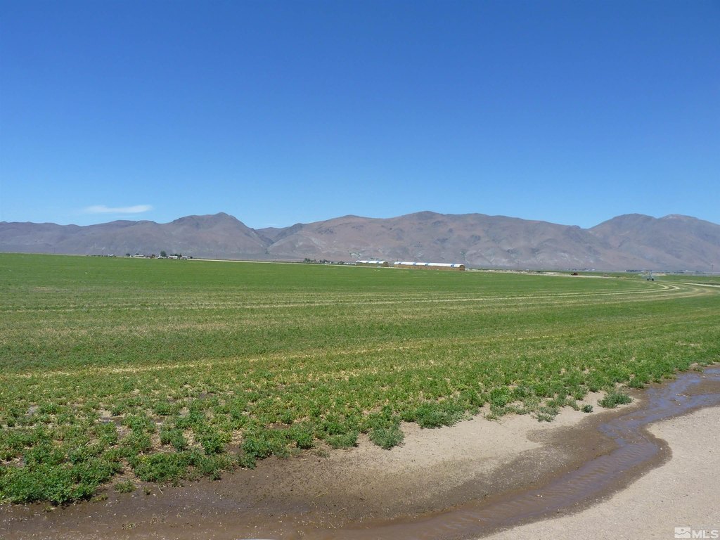 Denio, Nevada, 89404, United States, 3 Bedrooms Bedrooms, ,2 BathroomsBathrooms,Residential,Forsale,1910339