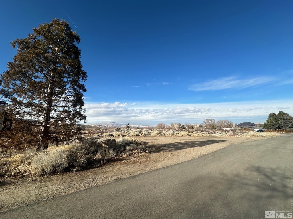 Reno, Nevada, 89511, United States, ,Land,Forsale,1910331